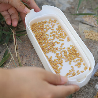 寿禾 猫草种子水培盆栽套装种植盒猫零食 猫草种子种植盒套装-青草绿