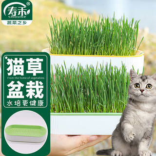 寿禾 猫草种子水培盆栽套装种植盒猫零食 猫草种子种植盒套装-青草绿