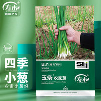 寿禾shouhe 小香葱种子小葱四季家庭种植蔬菜种籽 潍育玉条农家葱种子2000粒