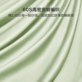 BLISS 百丽丝 家纺纯棉夏季被套单件60支长绒棉家用刺绣款被罩 雅乐孚华被套(鸟蛋绿) 220cm×240cm