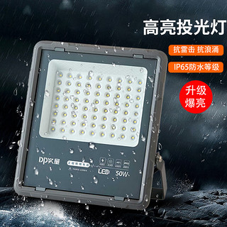 DP久量（Duration power）LED投光灯园林照明投射灯 PI65防水户外大功率探照灯工业路灯-50W