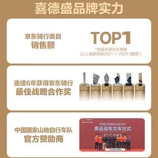 XDS 喜德盛 公路跨界山地车GR500禧玛诺10速铝合金油压碟刹平把变速车