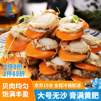 渔大吉 湛江新鲜冷冻去壳扇贝肉 带黄大号无沙 海鲜贝类粉丝扇贝400g/盒