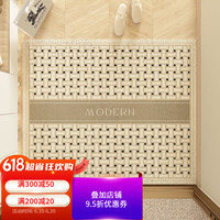 布迪思 BUDISI现代简约入户地垫进门脚垫家用门口入门玄关门垫地垫 简约编织B款 50*80cm