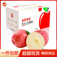 京鲜生 自然搭档 洛川苹果 陕西红富士苹果5斤装 单果215-275g