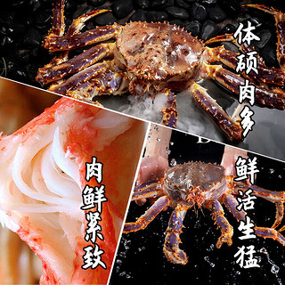 渔传播 同城速配 进口鲜活帝王蟹 3-3.5斤/只 海鲜水产