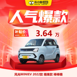 DONGFENG MOTOR 东风汽车 定金 风光MINIEV 2022款 糖果款 棒棒糖 车小蜂新车汽车买车订金