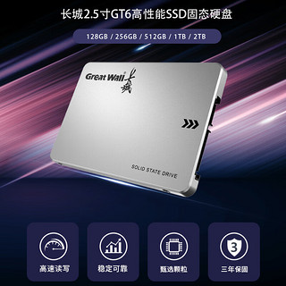 长城（Great Wall）GT黑金系列 SSD固态硬盘 SATA3.0接口台式机笔记本固态硬盘 GT6 旗舰版 1TB 黑金SATA3.0