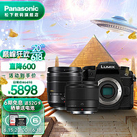 Panasonic 松下 G95D微单/无反/数码相机 Vlog视频拍摄 触屏翻转屏 五轴防抖 G95D+双镜组合套装