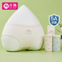 芬腾 内裤女4条装三角裤蕾丝边花色少女盒装内裤 款16{豆绿/虾粉/粉花/白色} XXL