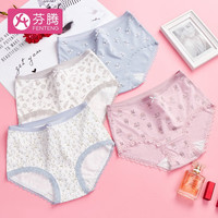 芬腾 内裤女4条装三角裤蕾丝边花色少女盒装内裤 款14{紫色/灰兰/白底灰/白底花} M