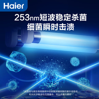 海尔（Haier）16升大容量多功能内衣内裤消毒器带烘干 婴儿奶瓶消毒紫外线杀菌 玩具奶嘴碗筷杀菌烘干器 双灯管+灯珠盘紫外线+高温烘干HBS-U303D