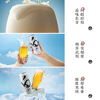 谷小酒 微醺 精酿白啤500ml*12罐 整箱装 更东方的啤酒 东方白啤（500ml*12/箱） 1箱