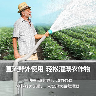 银龙岛（YINLONGDAO）直流潜水泵家用电动电瓶车抽水泵大流量农用抽水机灌溉高扬程小型 1寸48/60/72v