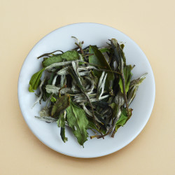 石古兰2022年福鼎大白茶白牡丹50克