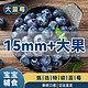 精选蓝莓 3斤 单果14+mm