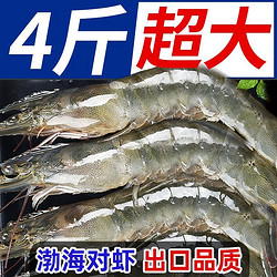 XYXT 虾有虾途 渤海大虾 17-19cm  4斤一整箱
