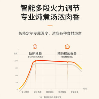 九阳（Joyoung） 电炖锅炖盅煲汤锅隔水炖锅炖汤燕窝炖盅砂锅煲汤插电电汤锅煲粥神器婴儿辅食锅 GD101