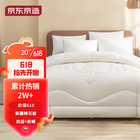 A类抗菌防螨天然新疆棉花被纯棉春夏秋被双人全棉胎4.6斤2X2.3米