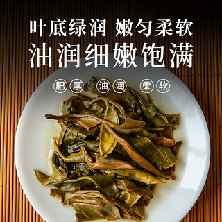 下关沱茶 月光白 白茶 饼茶 2022/2023年随机发 200克 大理特产