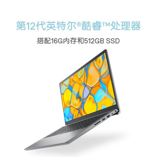  DELL/戴尔 护眼防蓝光 笔记本电脑  无机械硬盘 1920*1080 inteli5 灰色 512GB 60Hz 16GB