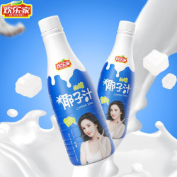 HUANLEJIA 欢乐家 生榨椰子汁 植物蛋白饮料 1kg*2瓶