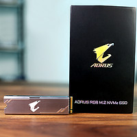 AORUS 技嘉120G SSD台式机电脑笔记本M.2固态硬盘