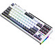 AULA 狼蛛 F87 有线单模机械键盘 87键 灰木轴V3 RGB