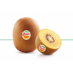 Zespri 佳沛 金奇异果 12粒