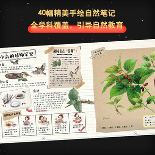 《中国植物，很高兴认识你》（函套共4册）