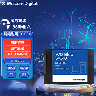 西部数据（WD） Blue系列-3D进阶高速读写版 蓝盘SATA3.0  笔记本台式机固态硬盘SSD  蓝盘 250G+16G系统优盘