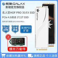 GALAXY 影驰 名人堂HOF PRO/EX M.2 PCIe4.0 2280 1T 2T台式机SSD固态硬盘