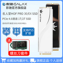 GALAXY 影驰 名人堂HOF PRO/EX M.2 PCIe4.0 2280 1T 台式机SSD固态硬盘