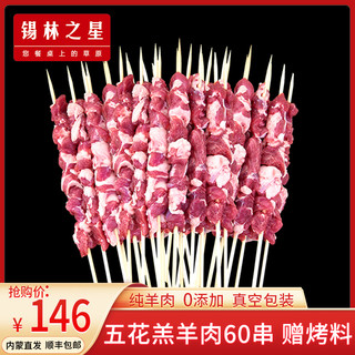  锡林之星 新鲜原切 羊肉串  包装 960g