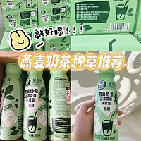 兰芳园兰芳园山茶花铁观音燕麦奶茶饮 山茶花铁观音燕麦奶300ml*15瓶