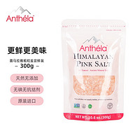 Anthela Anthéla 喜马拉雅玫瑰粉盐岩 粗颗粒盐300g