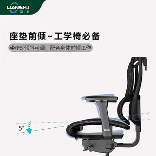 恋树（LIANSHU） L1电脑椅家用 人体工学椅子 办公椅可躺 老板椅 转椅 撑腰电竞椅 灰色（网布座垫）+脚托