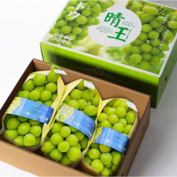 勇者无惧 现摘阳光玫瑰礼盒装  5斤