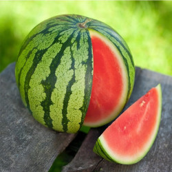 现摘现发 云南冰糖麒麟西瓜 7-8斤整个