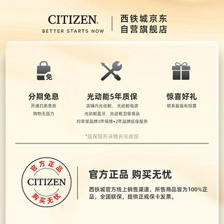 CITIZEN 西铁城 手表自动机械 舒博™钛覆DLC不锈钢表带时尚商务男表NB6008-82X