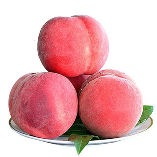 YUBAO 豫宝 灵宝大桃子 水蜜桃  品质水果 脆桃红不软 产地助农家乡味道 5斤桃子