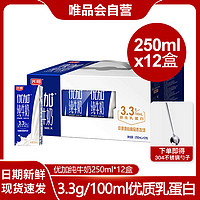 Bright 光明 优加3.3g乳蛋白纯牛奶250ml*12盒整箱学生营养早餐奶