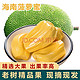 海南黄肉菠萝蜜  25-29斤