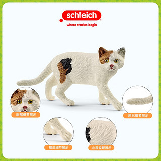 思乐（Schleich S）仿真动物模型 小狗玩具狗狗模型小猫玩具宠物 美国短毛猫13894