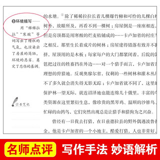 爱阅读语文课外必读丛书 猎人笔记（无障碍阅读彩插本）中小学生S