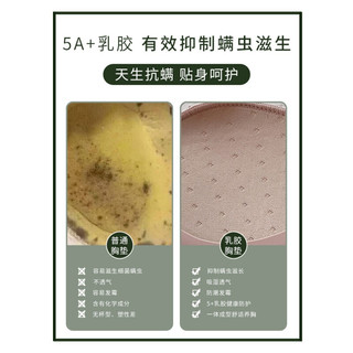 Glambody乳胶内衣女小胸聚拢显大调整型收副乳防下垂厚胸罩上托无钢圈文胸套装682181 黑色 85B