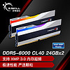 G.SKILL 芝奇 48GB(24Gx2) DDR5 8000 台式机内存条-幻锋戟RGB灯条(科技银)/Intel XMP/C40