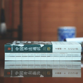 《中国书法通识》