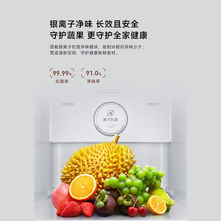 米家小米出品冰洗套装610L对开门大容量冰箱双开门+10kg直驱洗烘一体  BCD-610WMSA+XHQG100MJ202