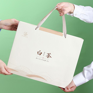 NEWXTON 新旭堂 白茶安吉茶叶绿茶礼盒装特级茗茶 2023新茶春茶节日送礼茶礼200g